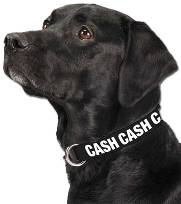 CASH Dog Collar